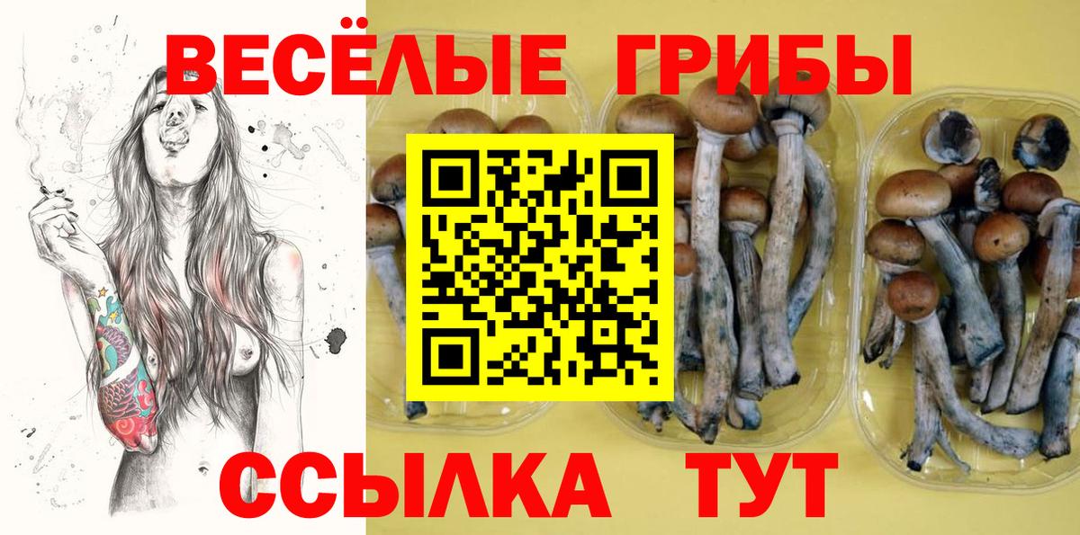 Галлюциногенные грибы мицелий  Псилоцибиновые грибы GOLDEN TEACHER  Междуреченск  Вход с VPN 