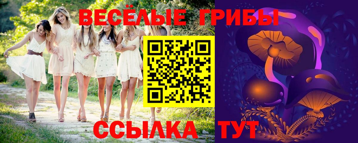 Псилоцибиновые грибы MAGIC MUSHROOMS Междуреченск